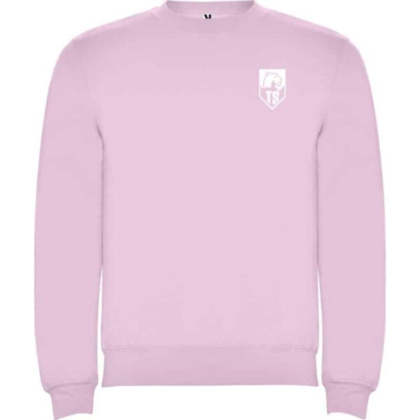 SHE-CAN-PLAY-college-II-lyserosa-rosa