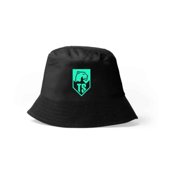 TS-buckethat-sort-gronn